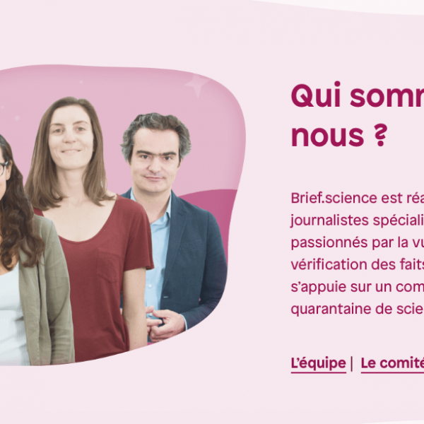 Tester son projet : bêta-tester, l’exemple de Brief.me